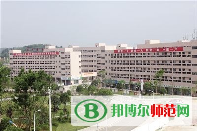 畢節幼兒師范高等?？茖W校2023年網站網址