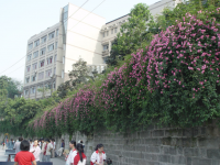 重慶市工業(yè)幼師學校2023年地址在哪里