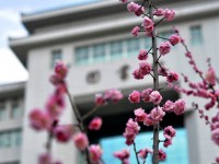延安大學師范學院楊家嶺校區2023年學費、收費多少