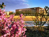 遼寧大學師范學院蒲河校區2023年學費、收費多少