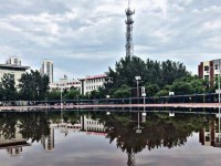 泊頭職業師范學院歷年錄取分數線