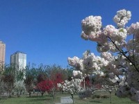 河北正定師范高等專科學校2023年招生錄取分數線