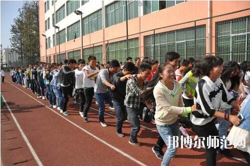 師范網4