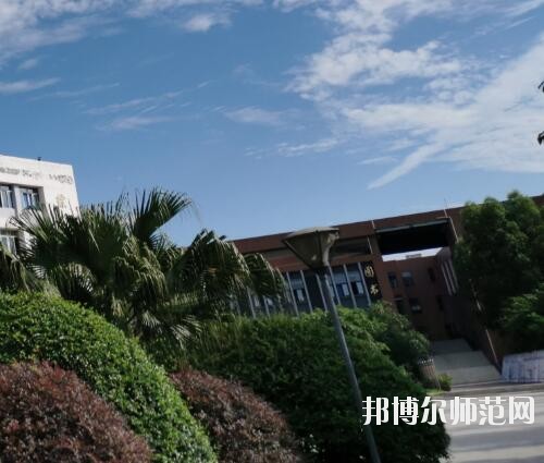 師范網1