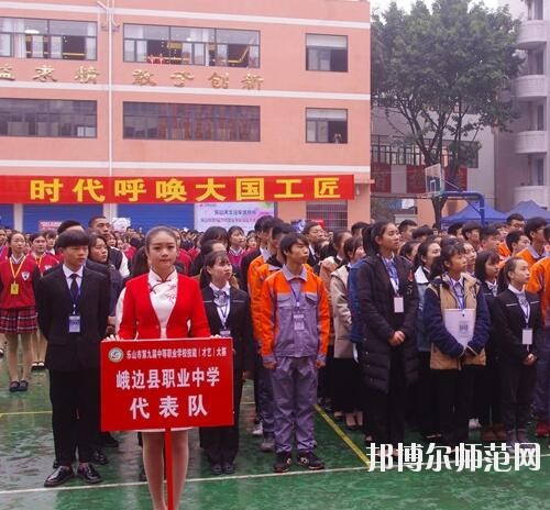 師范網3
