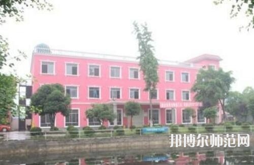 師范網1