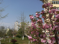 蒼溪縣幼兒師范職業(yè)高級(jí)中學(xué)2023年招生錄取分?jǐn)?shù)線(xiàn)