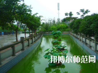 德陽通用電子科技幼兒師范學校2020年招生錄取分數線