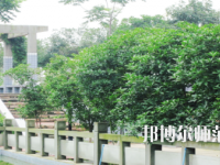 德陽通用電子科技幼兒師范學(xué)校2021年報(bào)名條件、招生要求、招生對(duì)象