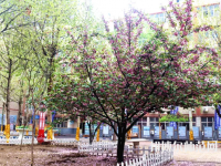 石家莊法商幼兒師范中等專(zhuān)業(yè)學(xué)校2023年報(bào)名條件、招生要求、招生對(duì)象