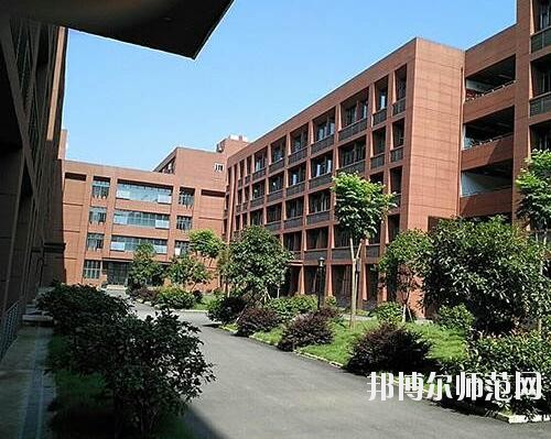師范網1