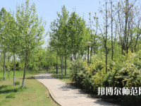 石家莊中英航空幼兒師范中等專業(yè)學校2023年怎么樣、好不好