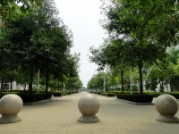 廣西現(xiàn)代職業(yè)技術(shù)師范學(xué)院2023年報(bào)名條件、招生要求、招生對(duì)象