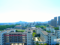 合肥2022年有哪些幼師學校最好就業