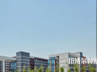 鄭州信息科技職業師范學院2023年有哪些專業