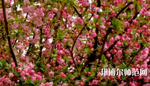 鄭州大學師范學院南校區2023年怎么樣、好不好