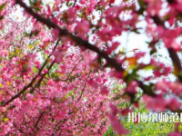 鄭州大學(xué)師范學(xué)院主校區(qū)2023年報名條件、招生要求、招生對象