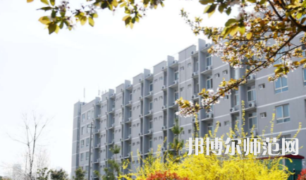 周口職業(yè)技術(shù)師范學(xué)院開元校區(qū)2023年怎么樣、好不好