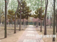 濮陽職業技術師范學院2023年報名條件、招生要求、招生對象