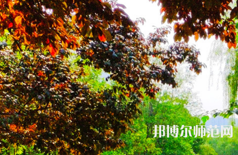 河南大學師范學院金明校區2023年怎么樣、好不好