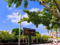 溫州師范大學茶山校區2023年招生代碼