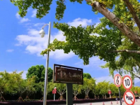 溫州師范大學茶山校區2023年排名