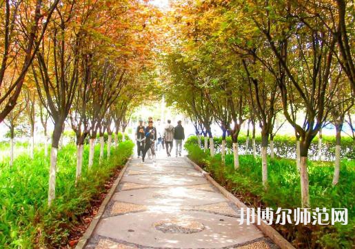 漢中職業技術師范學院2023年招生錄取分數線