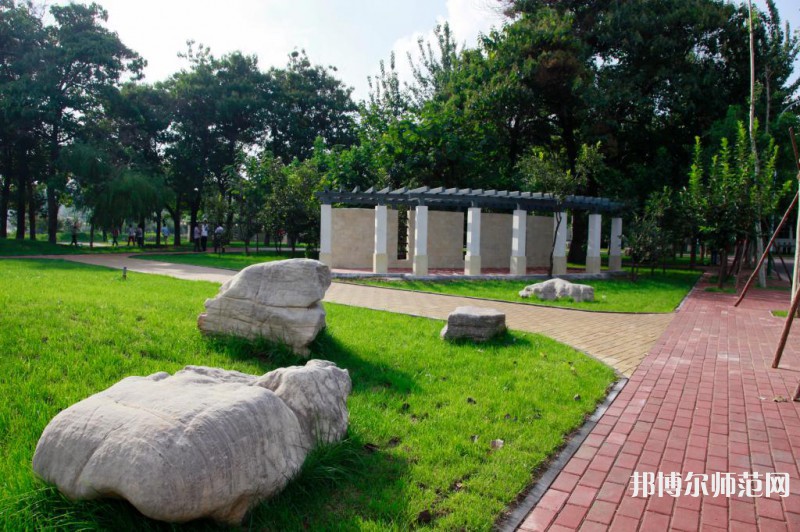 濰坊科技師范學院2023年招生錄取分數線