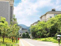 浙江特殊教育職業學院2023年是幾專