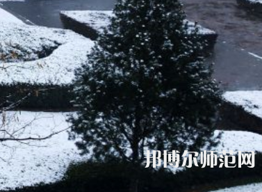 焦作師范高等專科學(xué)校2023年報名條件、招生要求、招生對象