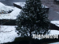 焦作師范高等?？茖W校2023年報名條件、招生要求、招生對象