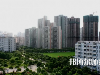 重慶文理師范學院紅河校區2023年有哪些專業