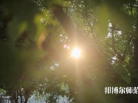 咸陽職業(yè)技術(shù)師范學院2023年報名條件、招生要求、招生對象