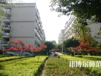 重慶師范大學涉外商貿學院合川校區2023年有哪些專業