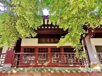 瓊臺師范學院2023年招生錄取分數線