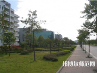 重慶文理學院2023年有哪些專業