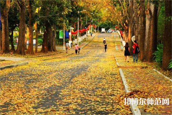 海南大學(xué)師范學(xué)院海甸校區(qū)2023年報名條件、招生要求、招生對象 