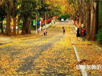 海南大學師范學院海甸校區2023年有哪些專業