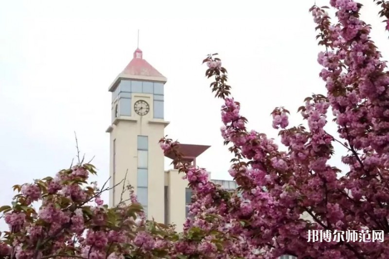 青島師范大學(xué)金家?guī)X校區(qū)2023年報(bào)名條件、招生要求、招生對(duì)象 