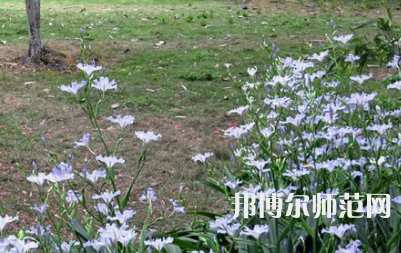 湖南第一師范學院城南書院校區2023年怎么樣、好不好
