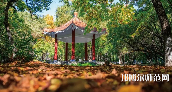 黑龍江師范大學(xué)2023年報(bào)名條件、招生要求、招生對(duì)象 