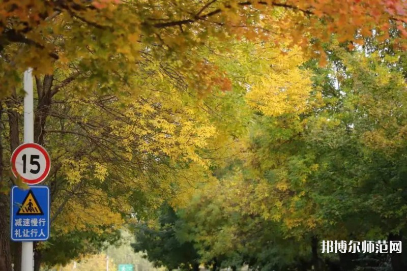 濟南幼兒師范高等專科學校2023年有哪些專業