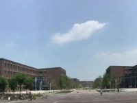 天津大學師范學院衛津路校區2023年招生計劃
