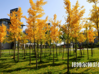 寧夏民族職業(yè)技術(shù)師范學(xué)院2023年怎么樣、好不好
