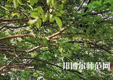 湖南師范大學2023年報名條件、招生要求、招生對象