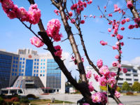 隴南師范高等專科學校2023年招生錄取分數線